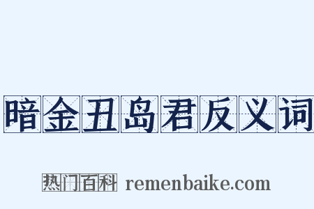 暗金丑岛君反义词是什么意思的图片